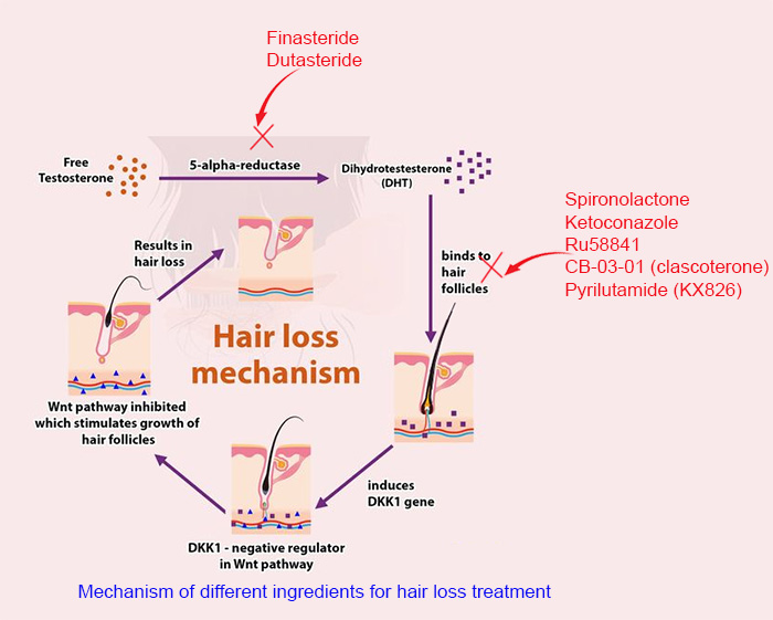 how does topical dutasteride work